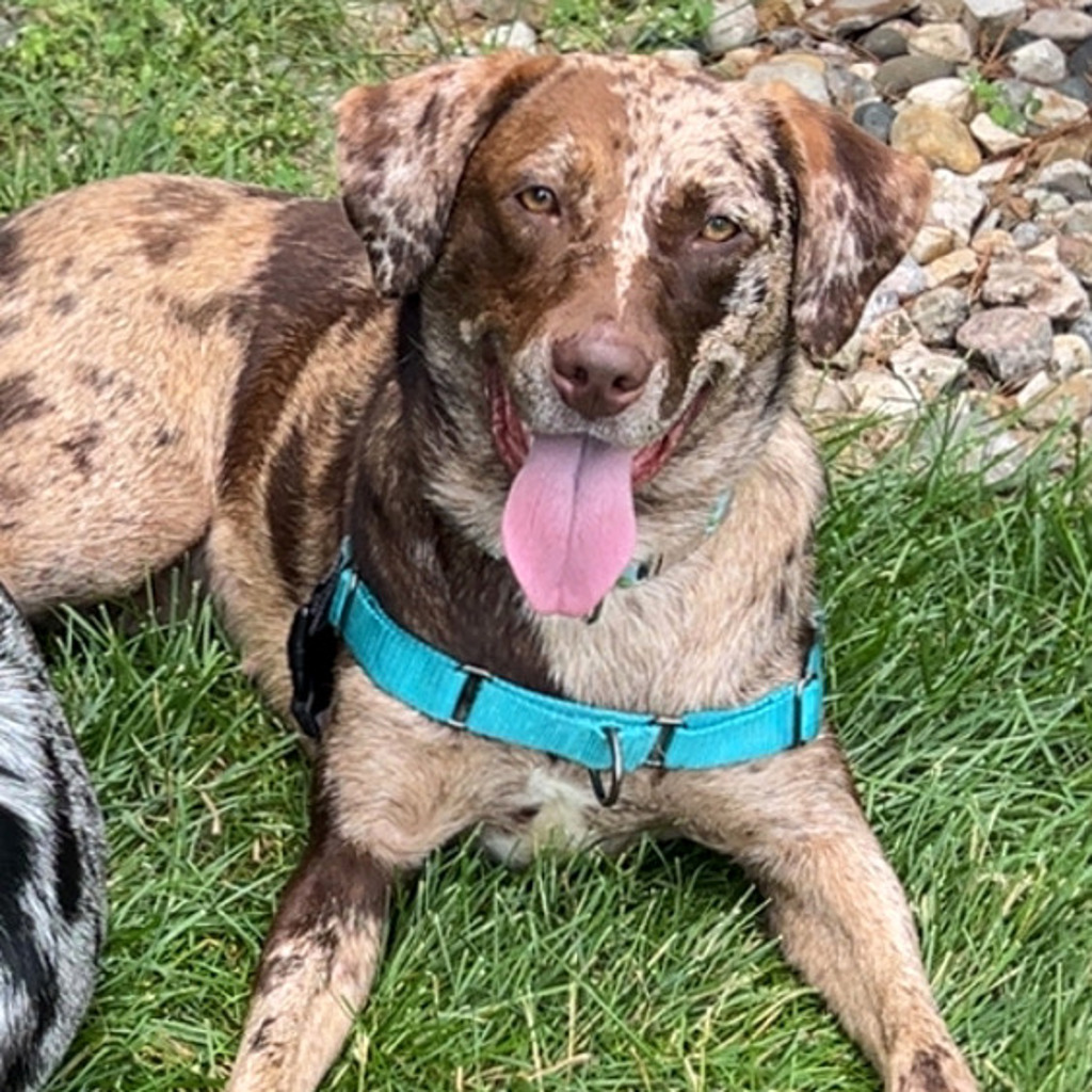 Sissy -- Bonded Buddy With Bud