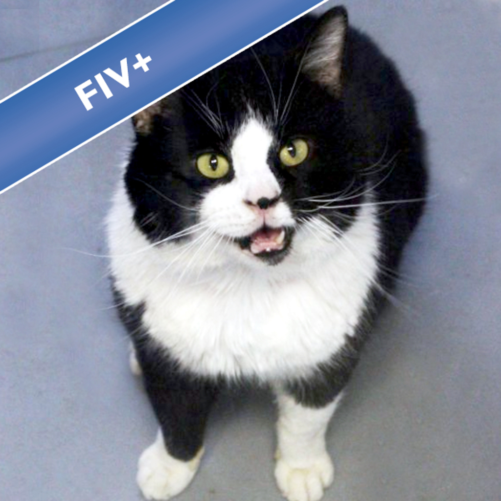 Tux