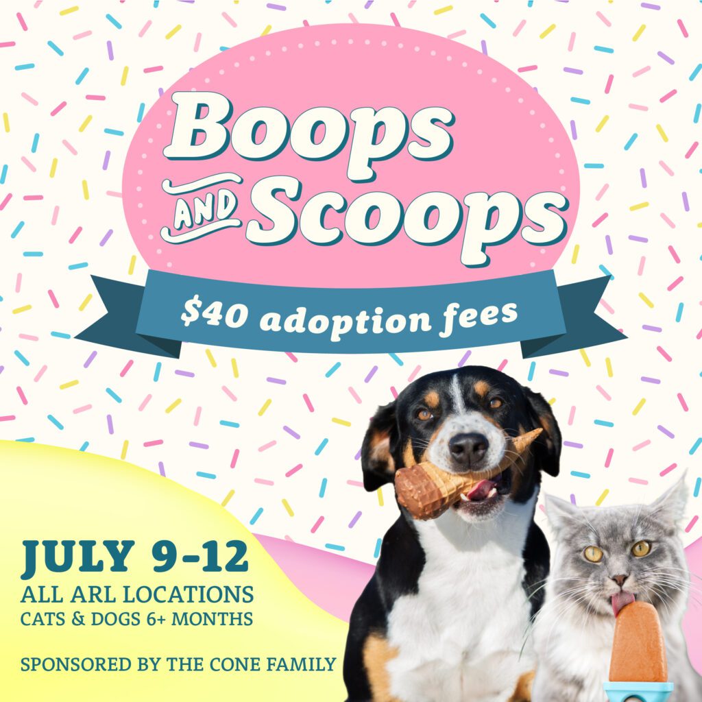 Adoption Event promotion graphic with dog and cat enjoying ice cream.