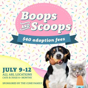 boops and scoops_Square Graphic Adoption Event promotion graphic with dog and cat enjoying ice cream.