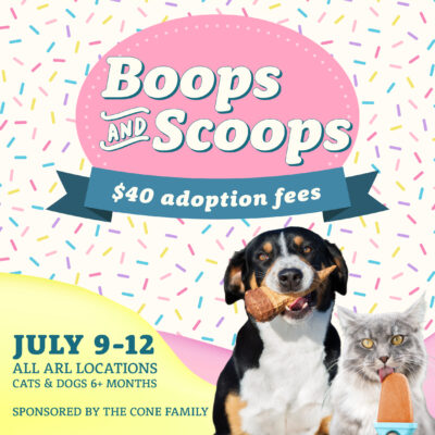 Adoption Event promotion graphic with dog and cat enjoying ice cream.