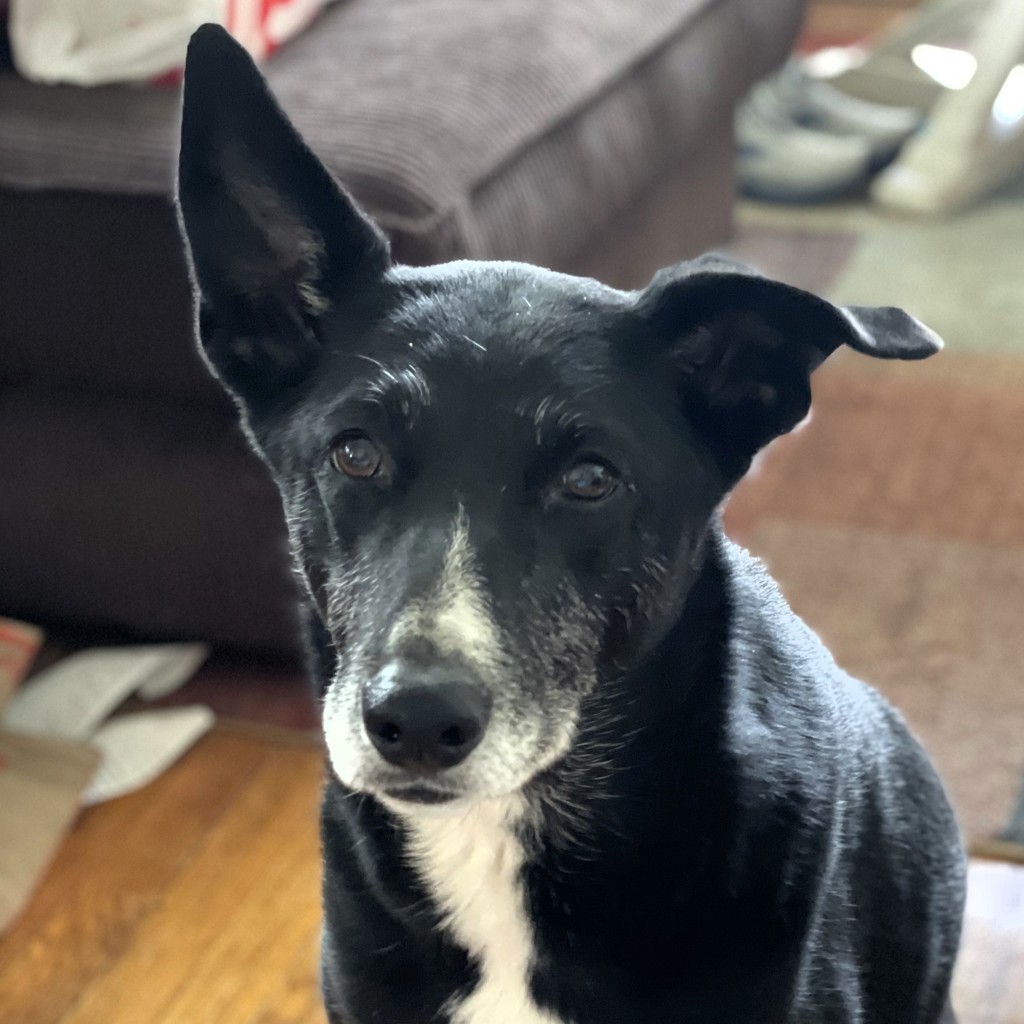 Freya