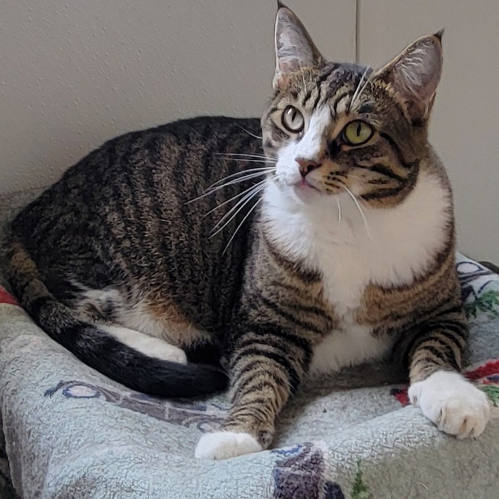 Hera -- Bonded Buddy With Smudge
