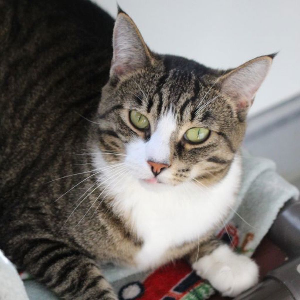 Hera -- Bonded Buddy With Smudge