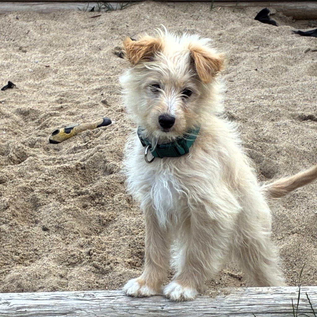 Lucy