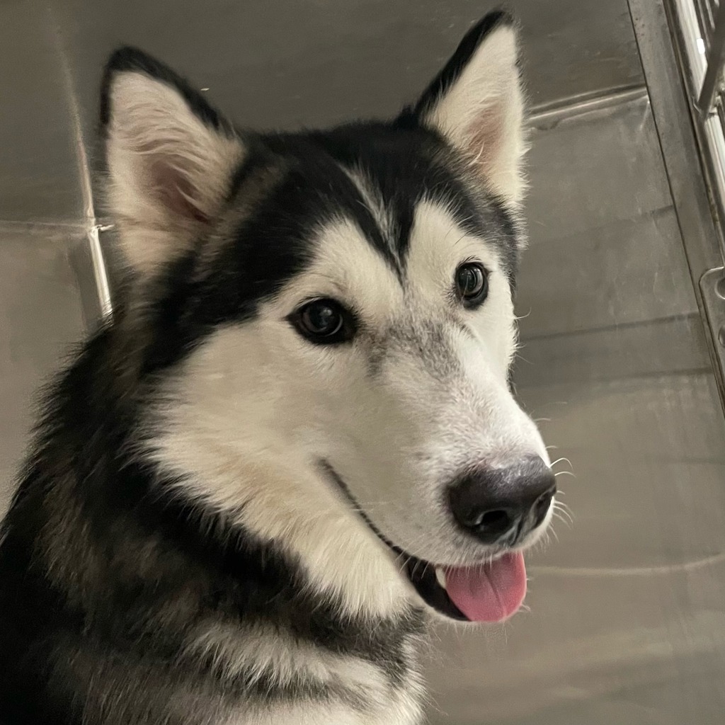 Nikko