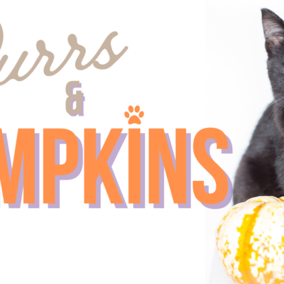 Purrs & Pumpkins Purrs & Pumpkins