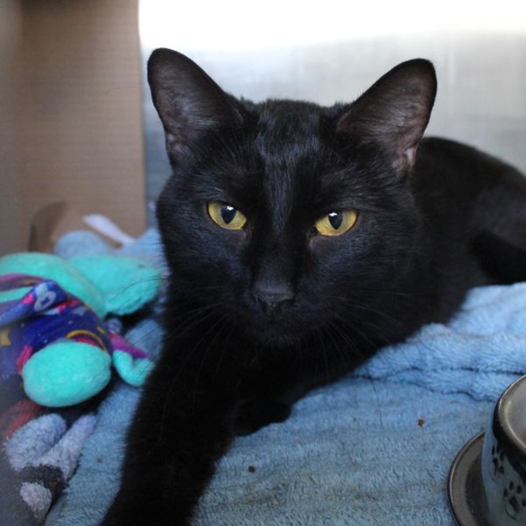 Terra -- Bonded Buddy With Winnie