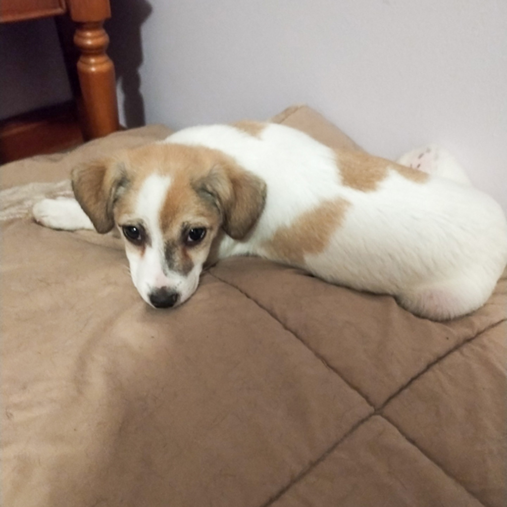 Tucker