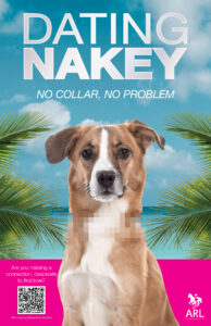 DatingNaked_poster dating naked promo poster
