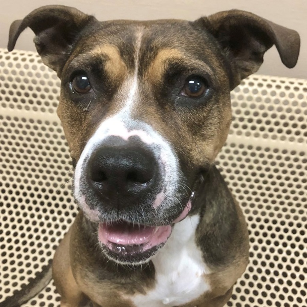 Effie