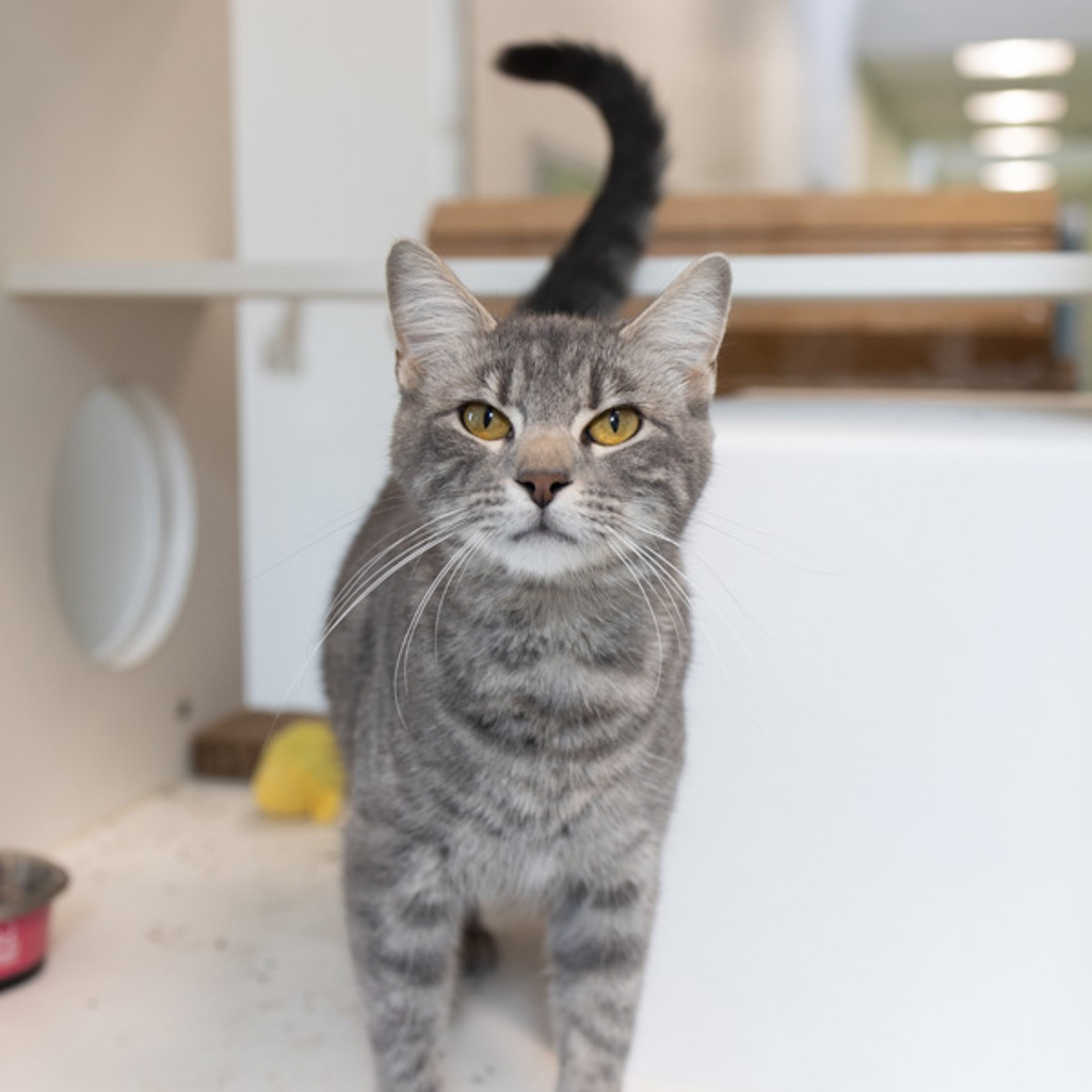 Ella