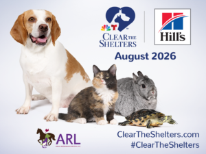 FB-Post-ENG-Logo clear the shelters graphic =