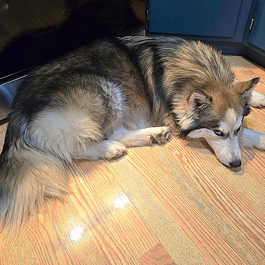 Kai