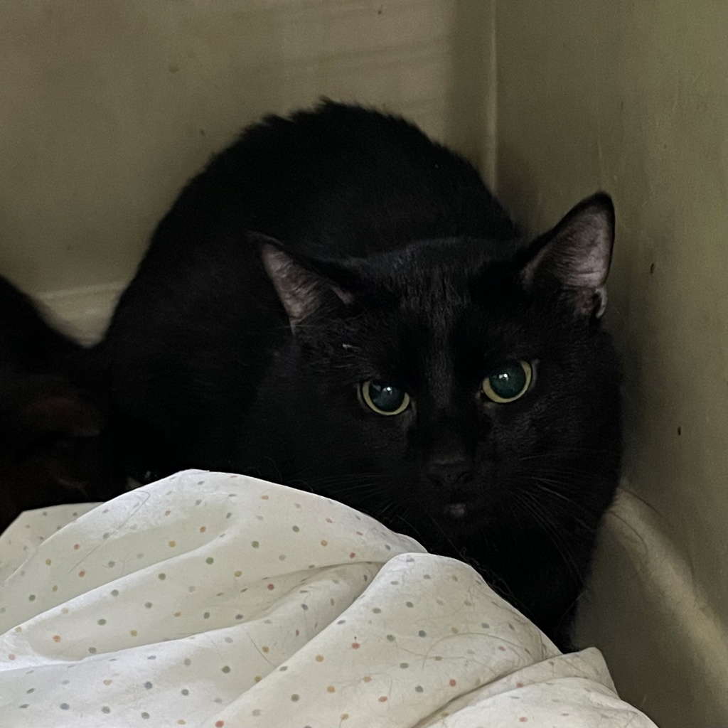 Kory-- Bonded Buddy With Christopher