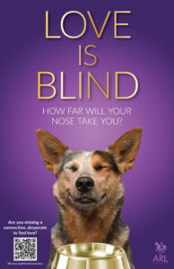 LIB_poster love is blind promo poster