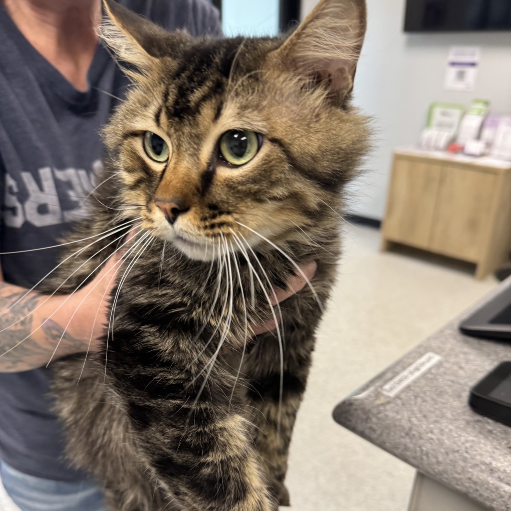 Leo -- Bonded Buddy With Princeton