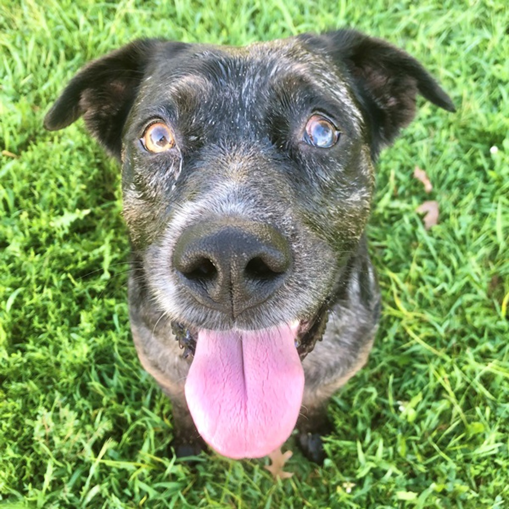 Louise -- Bonded Buddy With Thelma