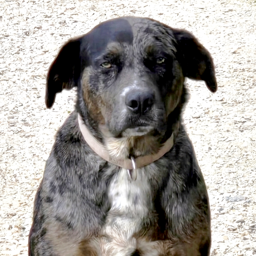 Louise -- Bonded Buddy With Thelma