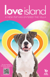 LoveIsland_poster love island promo poster