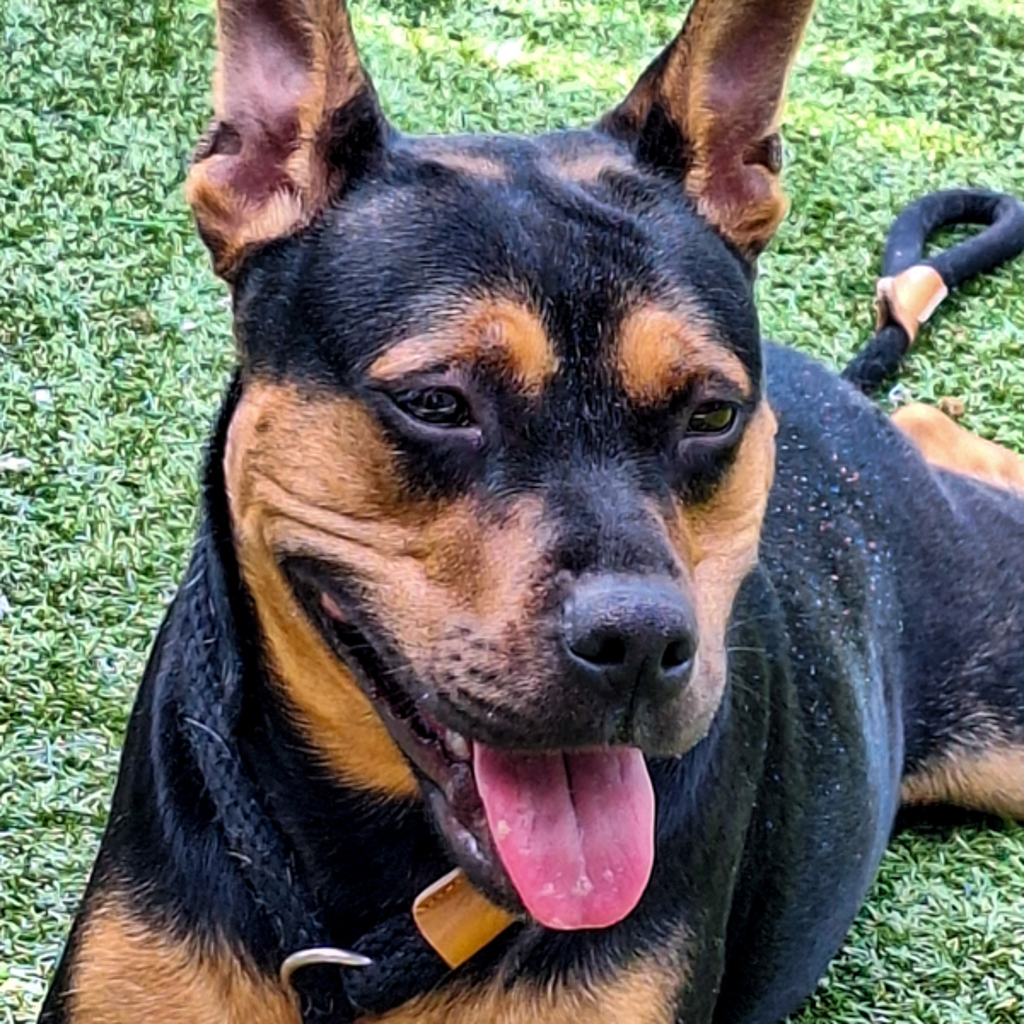 Lucy