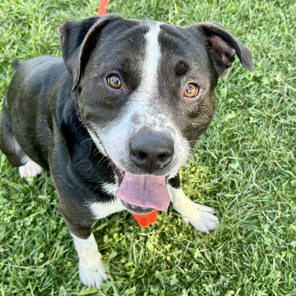 Marco