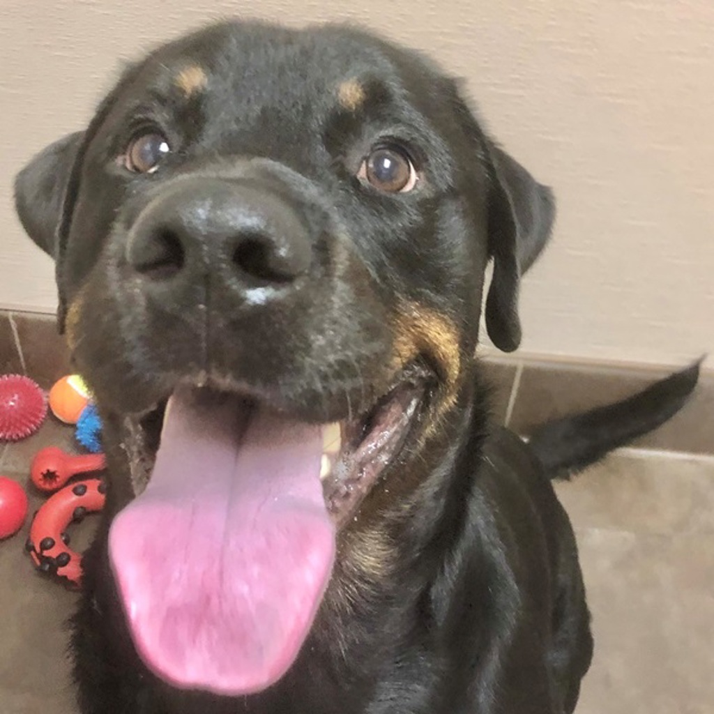 Max