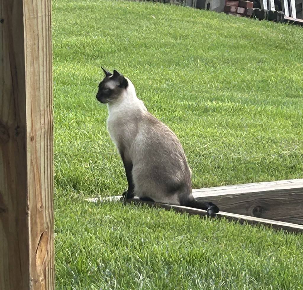 Max
