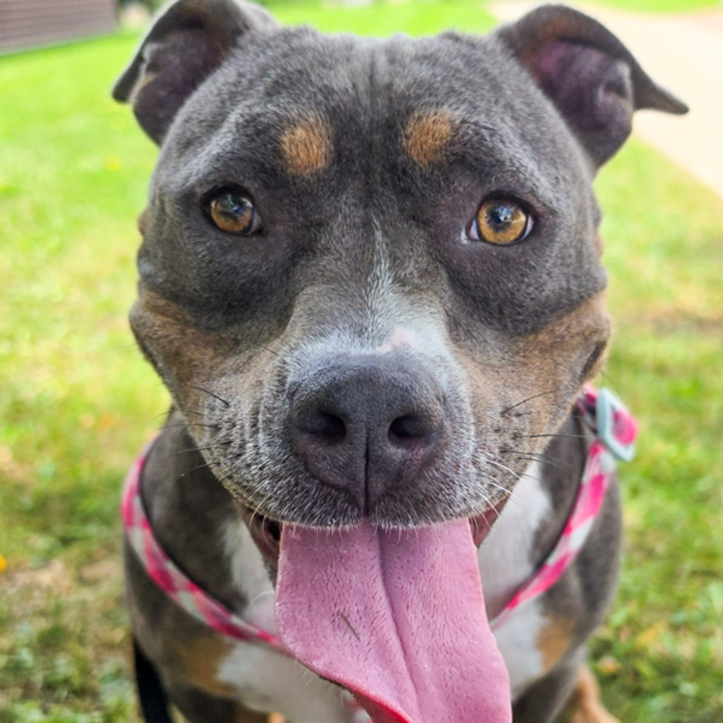 Penelope