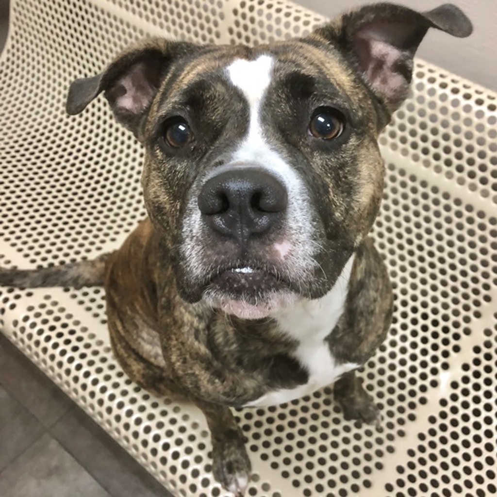 Suzie