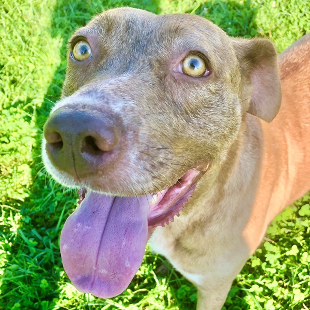 Thelma -- Bonded Buddy With Louise