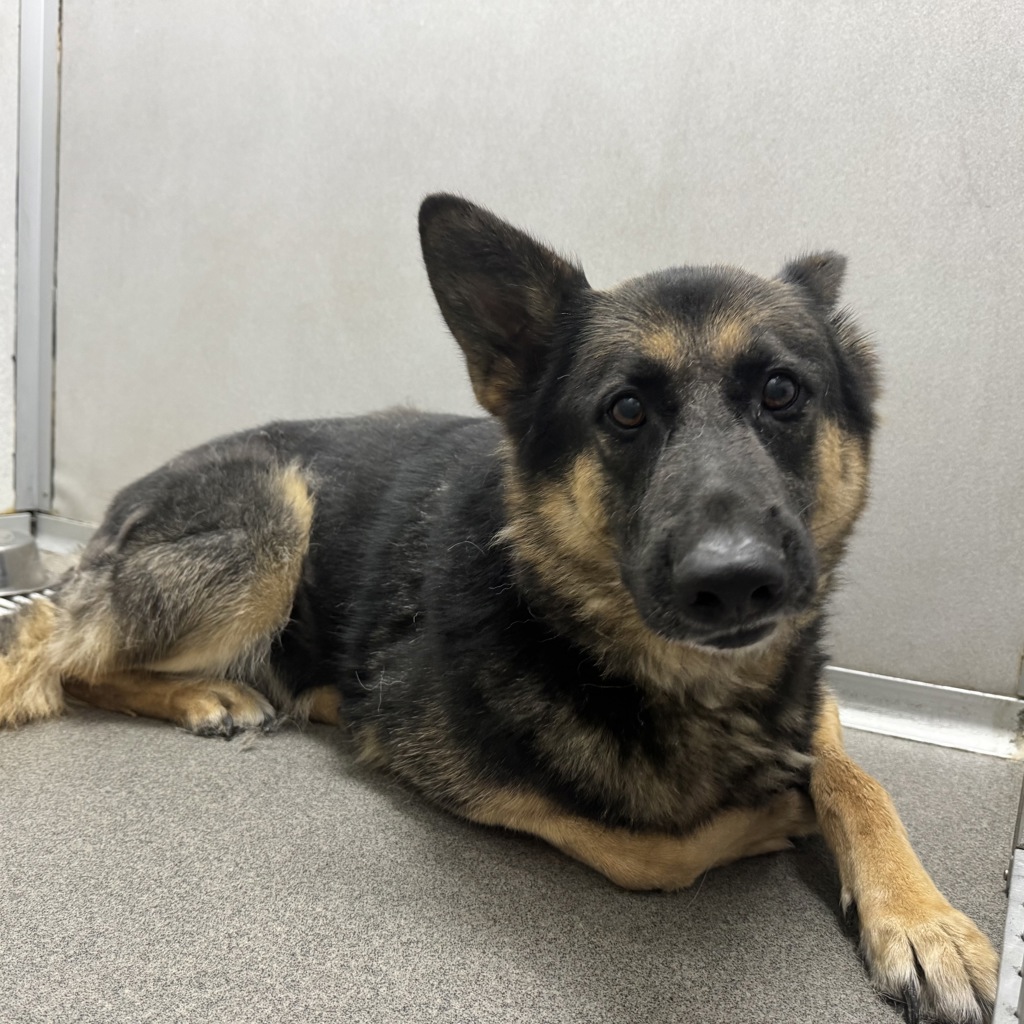 Axel