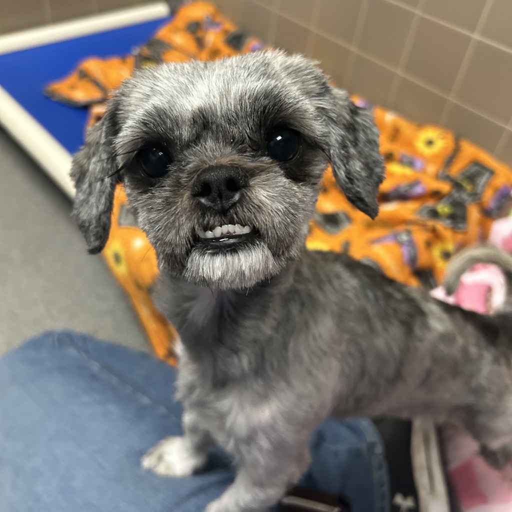 Coco