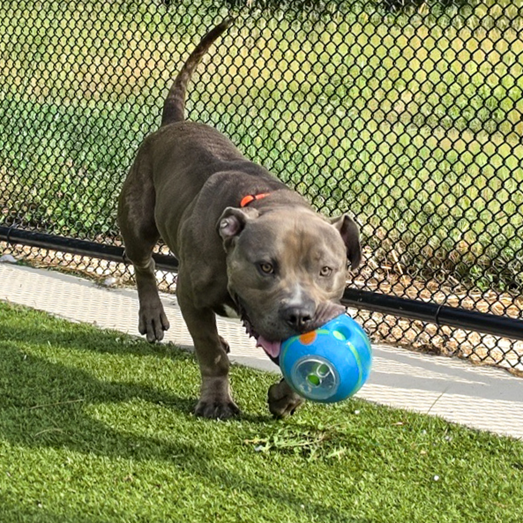 Ernie