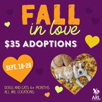 Fall in Love_square