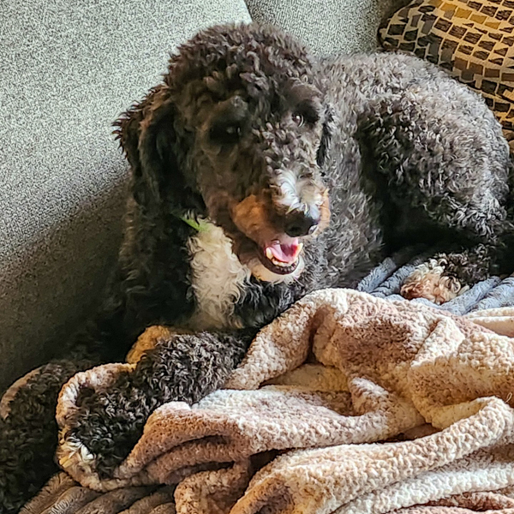 Gunner