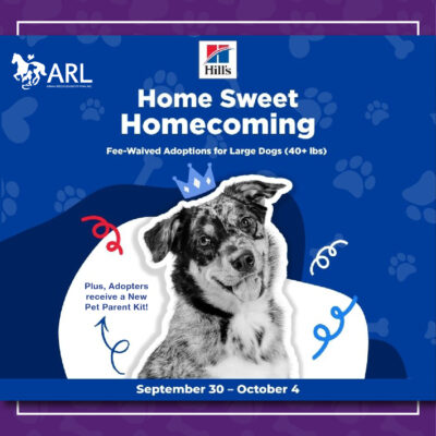 Hills Home Sweet Homecoming Graphics_Square