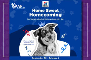 Hills Home Sweet Homecoming Graphics_WebThumb