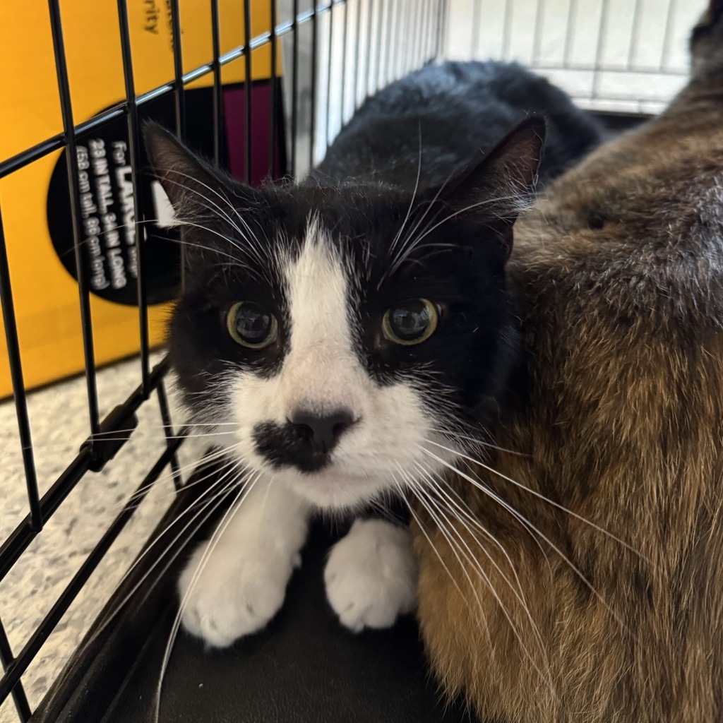 Leonard -- Bonded Buddy With Toot