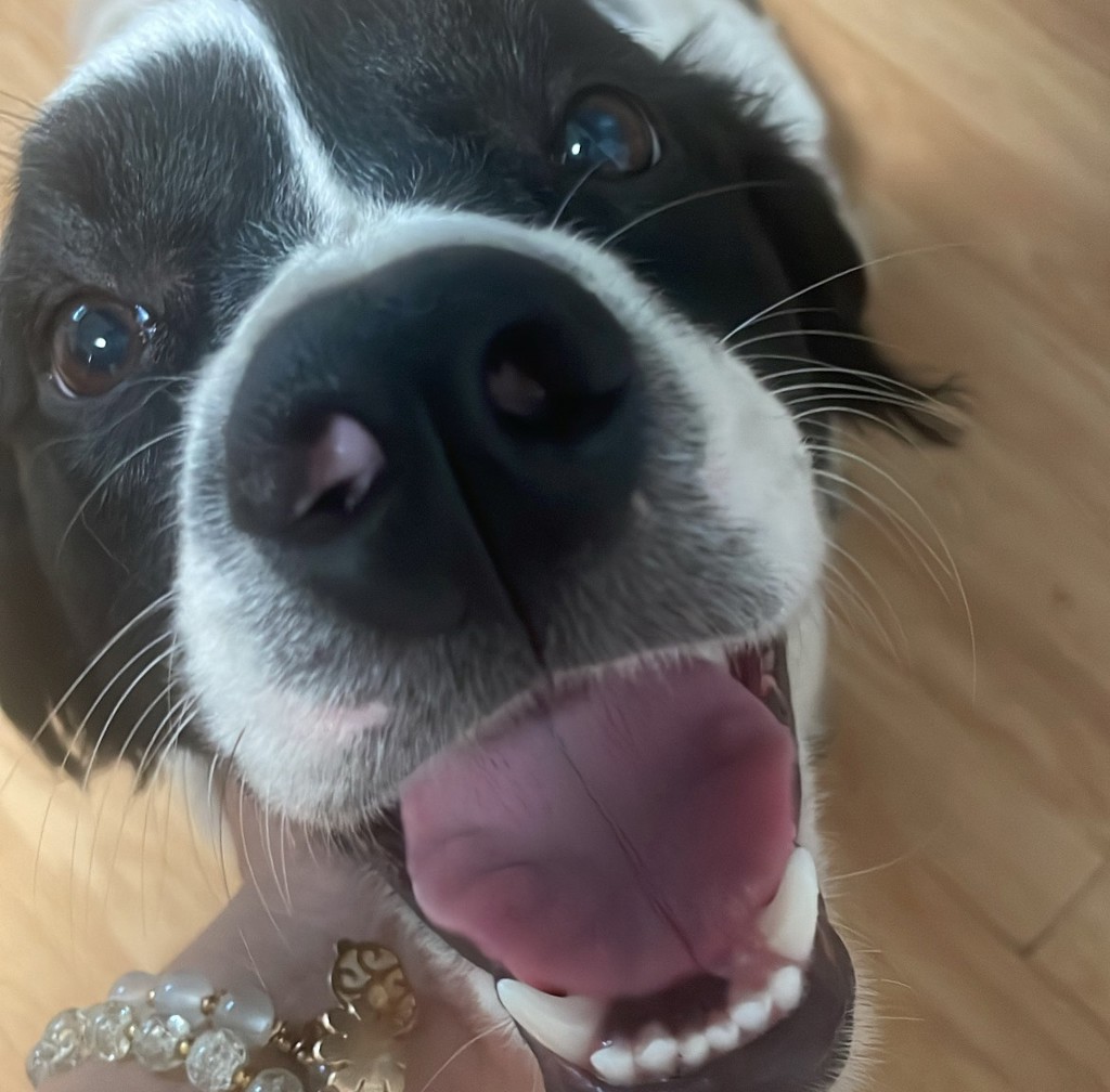 Mia