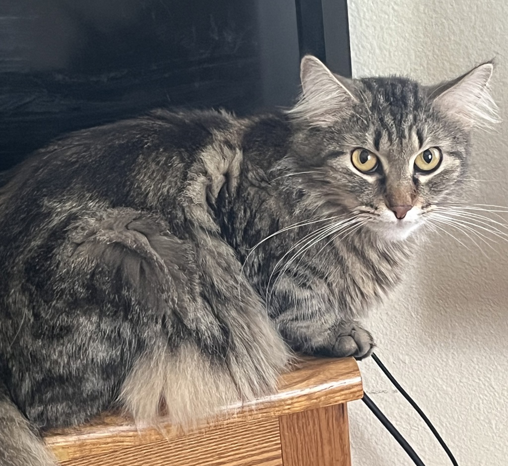 Morty