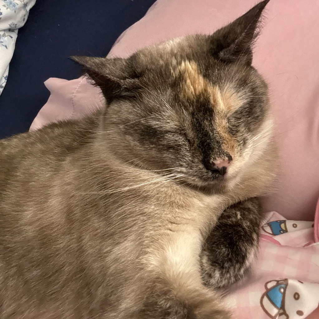 Sophie