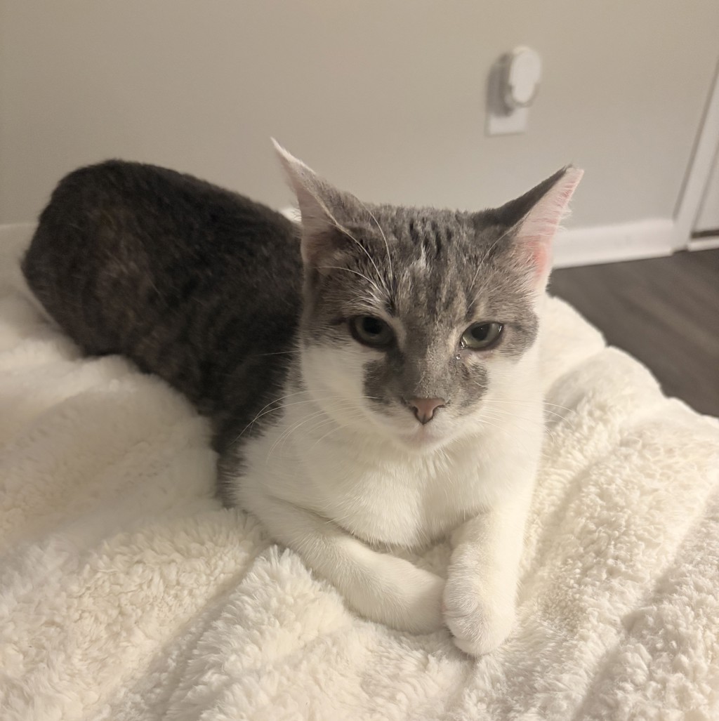 Willow -- Bonded Buddy With Jericho
