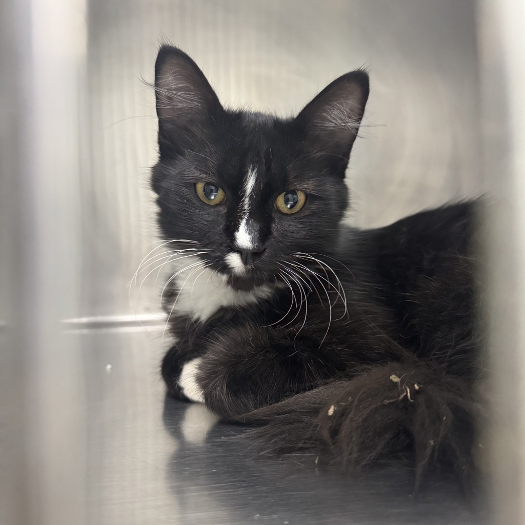 Wish - Bonded Buddy With Wilbur