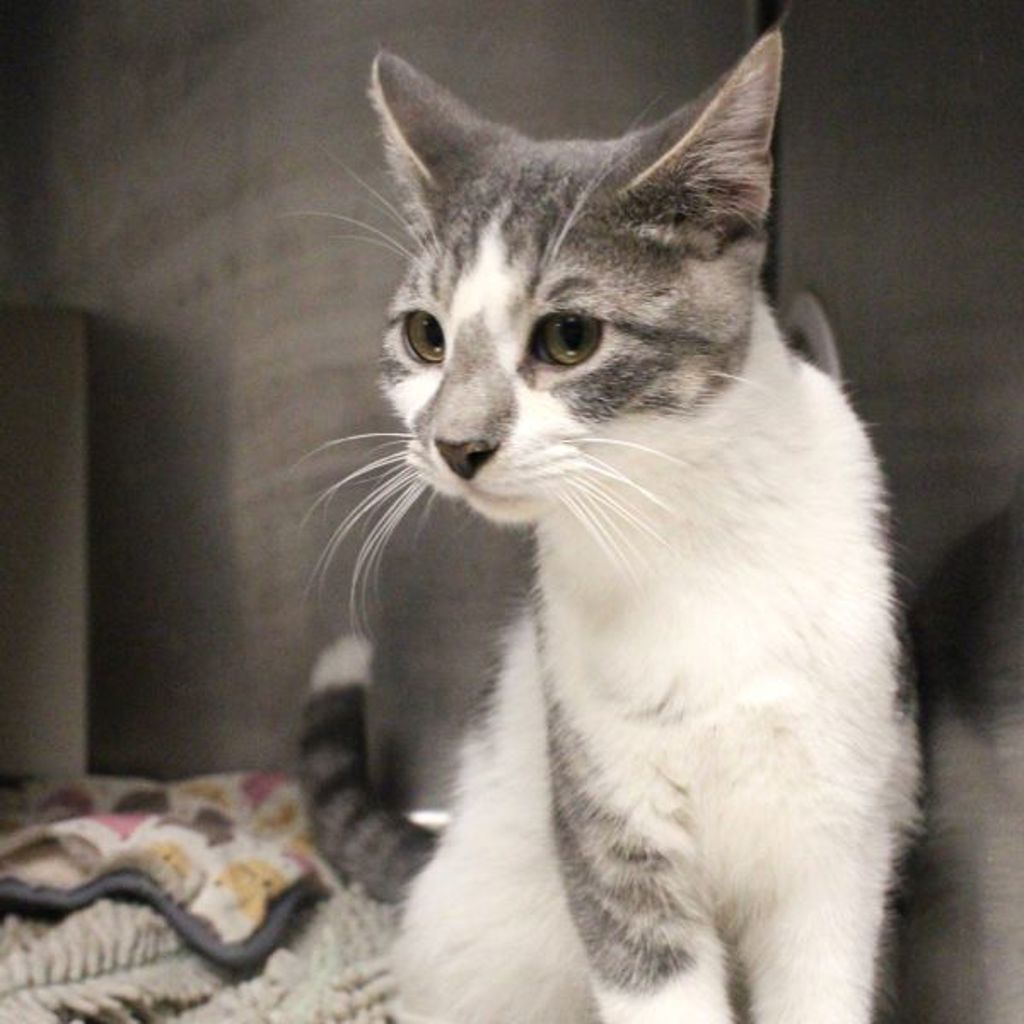 Earl -- Bonded Buddy With Wanda
