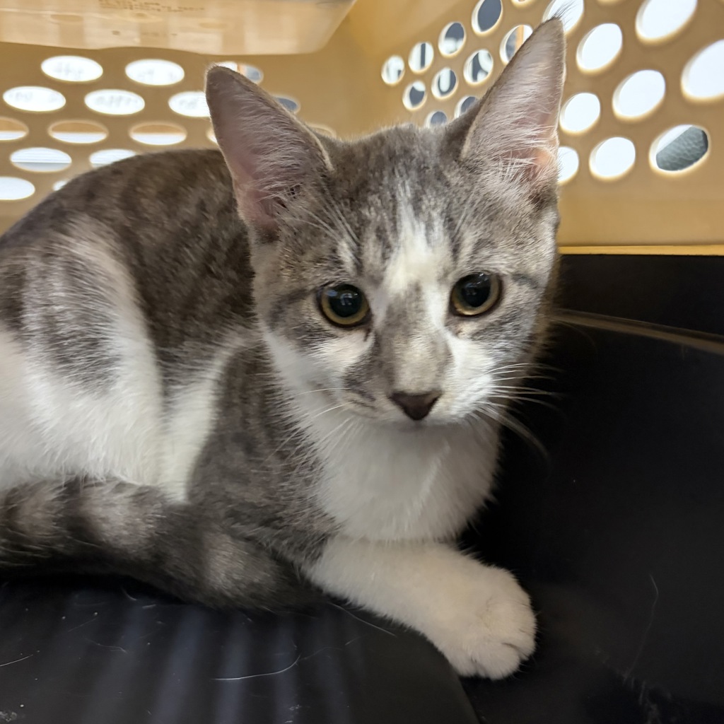 Earl -- Bonded Buddy With Wanda