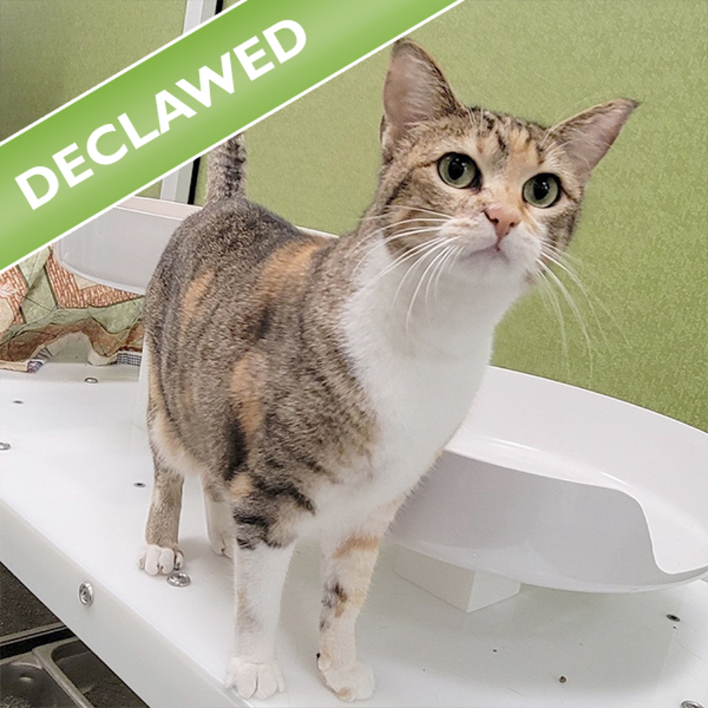 Fran