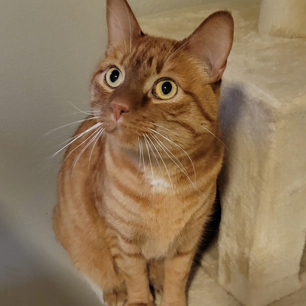 Fred