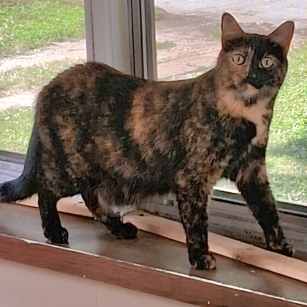 Ivy