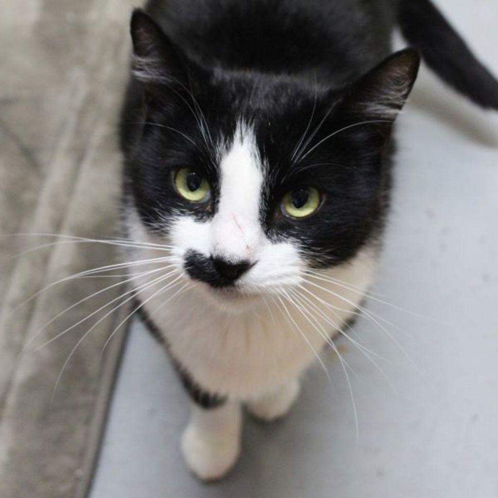 Leonard -- Bonded Buddy With Toot
